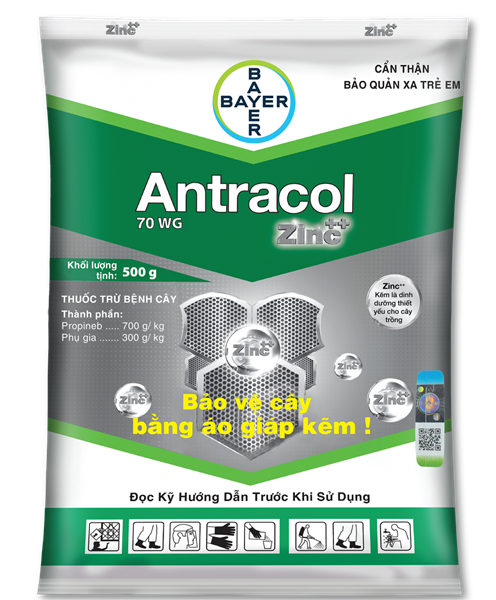 ANTRACOL 70WP 500gr