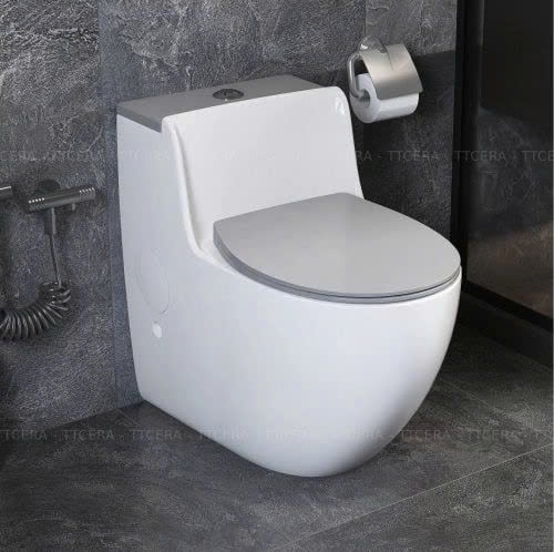 Bồn Cầu Trứng 1 Khối BC041