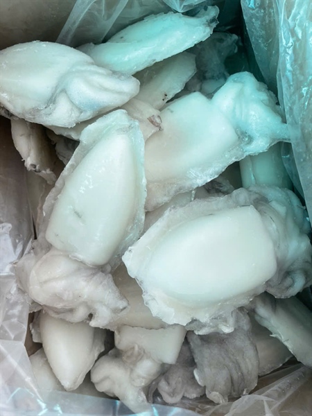 Mực nang LS 300/500g 10kg