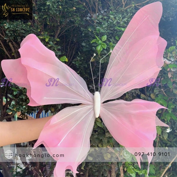 Cho thuê bướm voan + chân đế