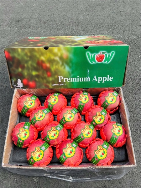 TÁO XÌ NƠ 28