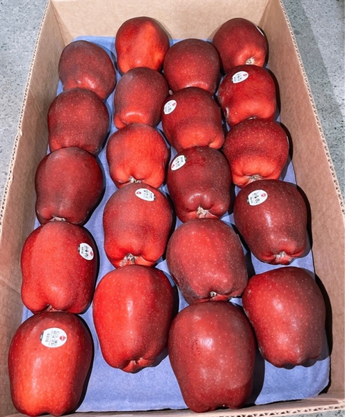 TÁO 5 GÓC MỸ 9KG