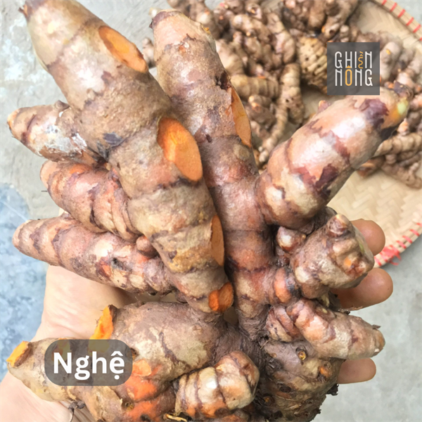 Nghệ | 100g