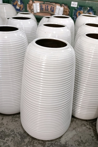 BÌNH ĐU ĐỦ TRẮNG 25