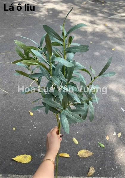 Lá ô liu bạc 1 - Lá cành dài - Hoa Lụa Vân Vượng