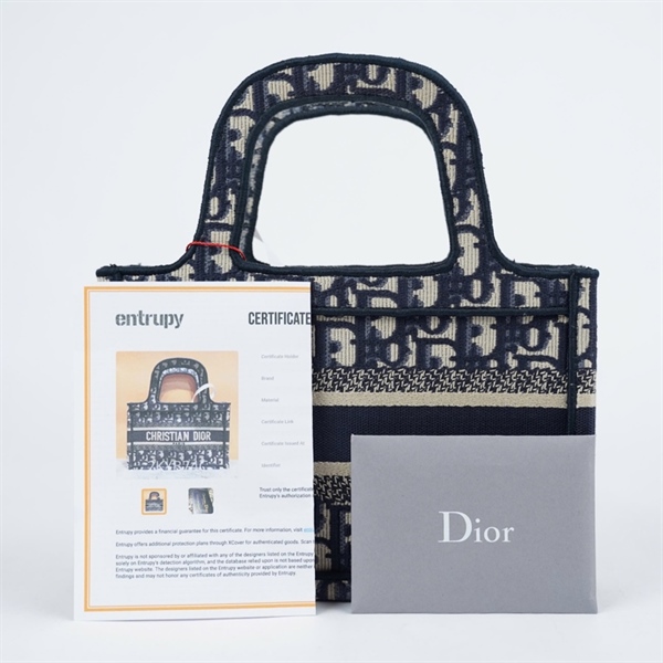 Túi Dior Handle xanh xám (50-MA-1220) sz22 (A-T) KG+