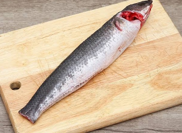 Cá lóc nguyên con 雷魚