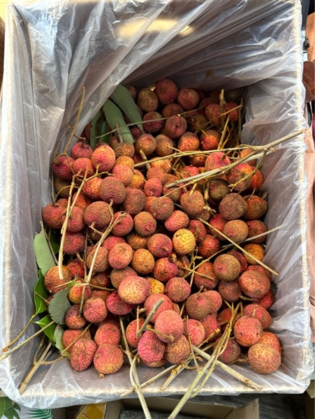 Vải
