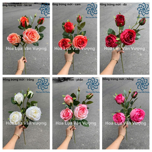 Hồng trứng mới - Hoa cành dài - Hoa Lụa Vân Vượng