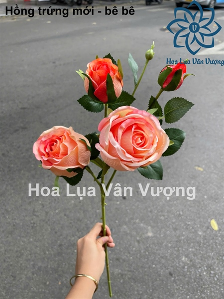 Hồng trứng mới - bê bê - Hoa cành dài - Hoa Lụa Vân Vượng