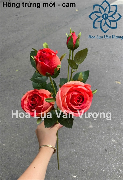 Hồng trứng mới - cam - Hoa cành dài - Hoa Lụa Vân Vượng