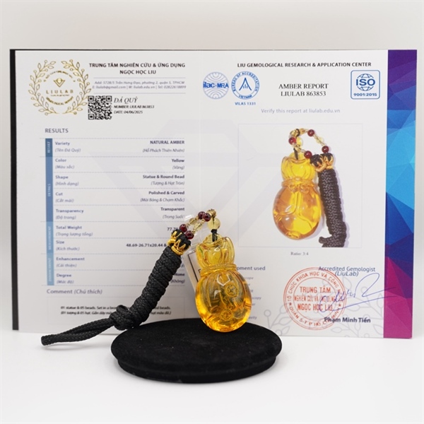 Mặt túi tiền hổ phách 863853 KG+