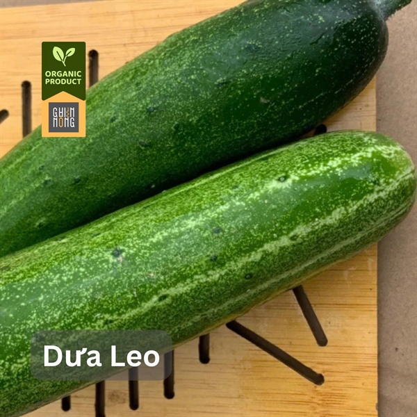 Organic _ Dưa Leo Việt Nam | 350-400g