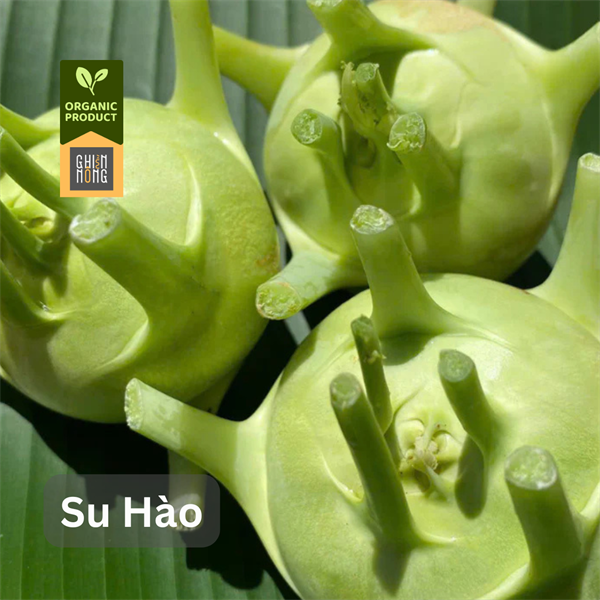 Organic _ Su Hào | 350-400g