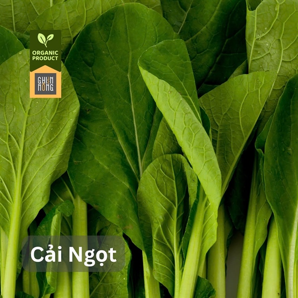 Organic _ Cải Ngọt | 450-500g
