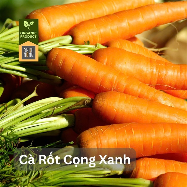 Organic _ Cà Rốt Cọng Xanh | 450-500g
