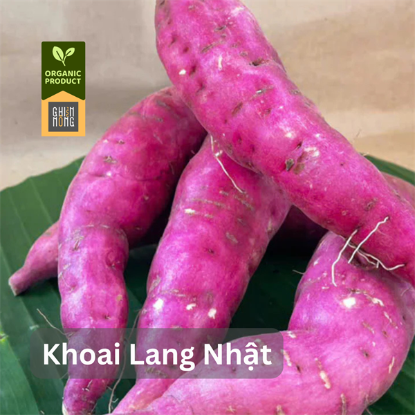 Organic _ Khoai Lang Nhật | 450-500g