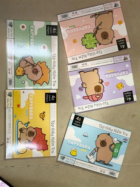 Tệp 20 tờ Giấy Kiểm Tra Nhật Hữu