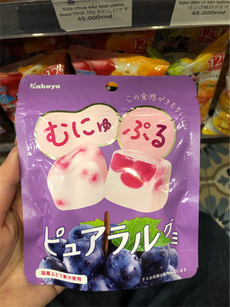 Sữa chua sấy khô oishii desu Nhật 35g おいしいです