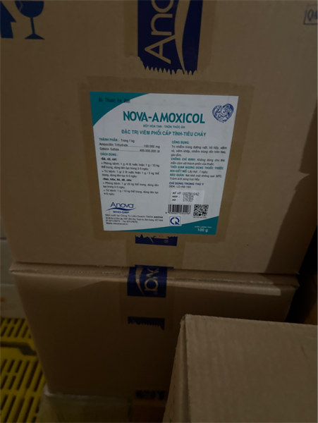 Amoxycol 100g anova