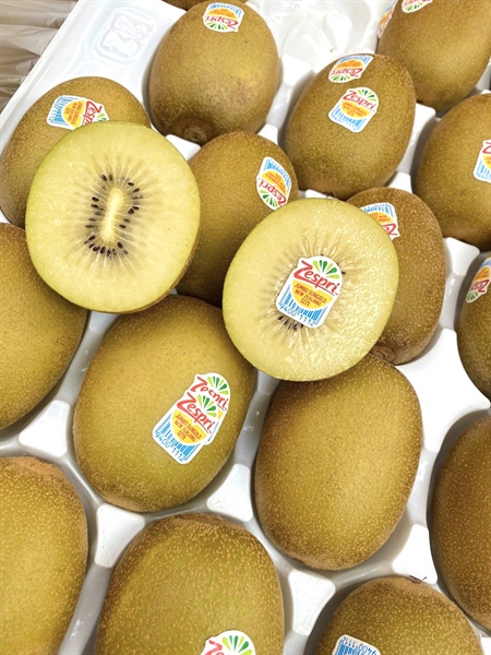 Kiwi Vàng Newzeland size 22