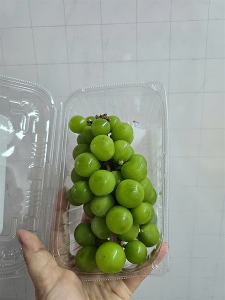Nho xanh sữa - Green grapes