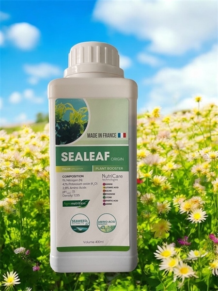 SEALEAF (AGRINO)