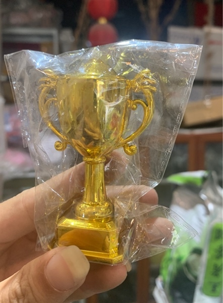 Cup bóng đá