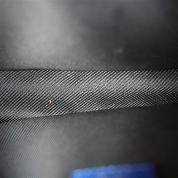 Túi LV đeo chéo hoa xanh (FO0270) sz24 (BQ) KG+