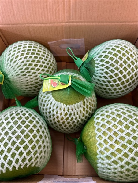 Bưởi Da Xanh Robben