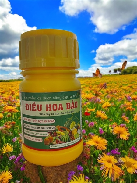 ĐIỀU HOA BẢO