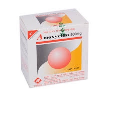 Thuốc Amoxycilin 500mg (Hộp 10 vỉ x 10 viên) - Vidipha