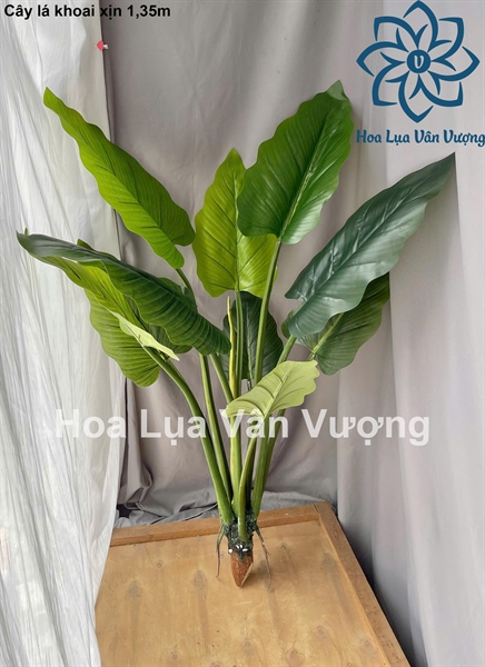 Cây lá khoai xịn 1,35m - Cây - Hoa Lụa Vân Vượng