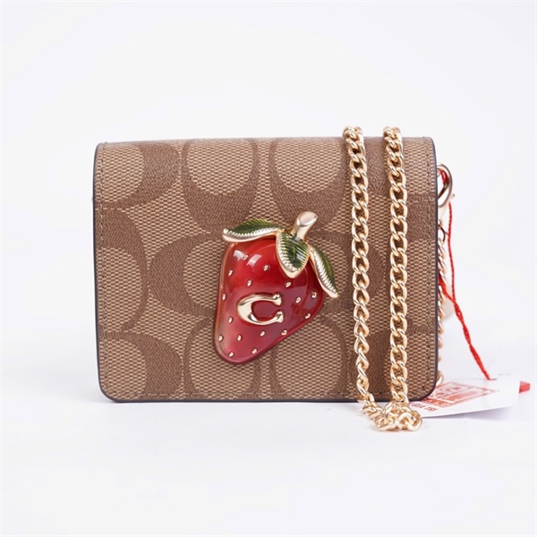 Ví Coach nâu đính dâu KG+