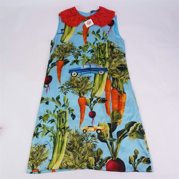 Đầm D&G xanh in hình (BQ) KG+