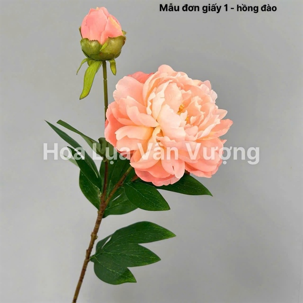 Mẫu đơn giấy 1 - Hoa cành dài - Hoa Lụa Vân Vượng