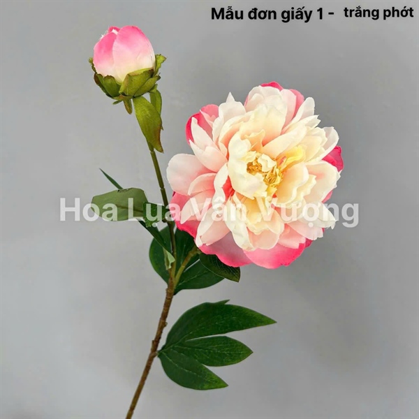 Mẫu đơn giấy 1 - trắng phớt - Hoa cành dài - Hoa Lụa Vân Vượng