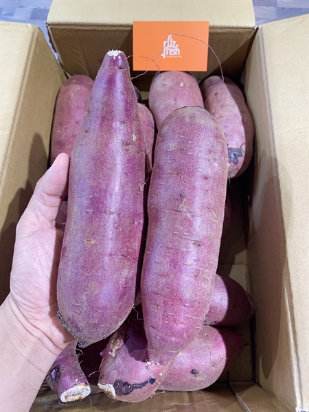 Khoai Mật Nhật Bản