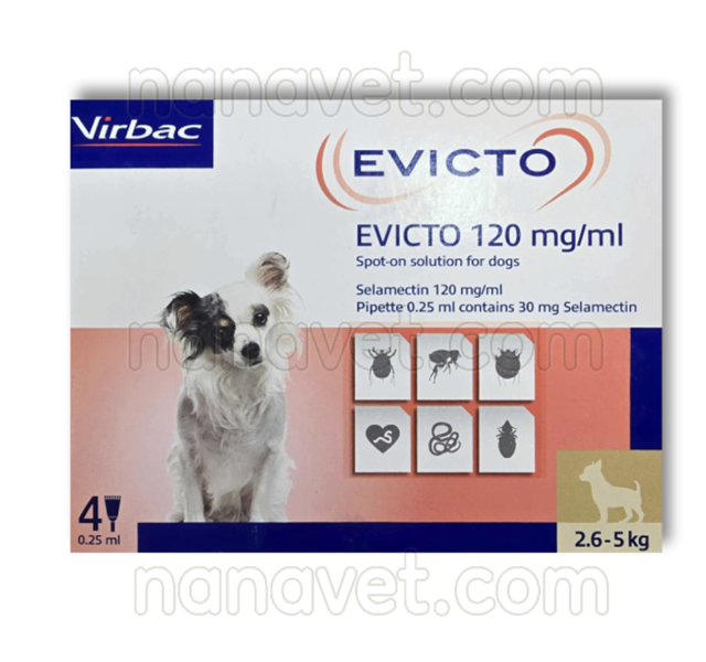 EVICTO 120MG/ML (Dog 2.6 - 5KG)