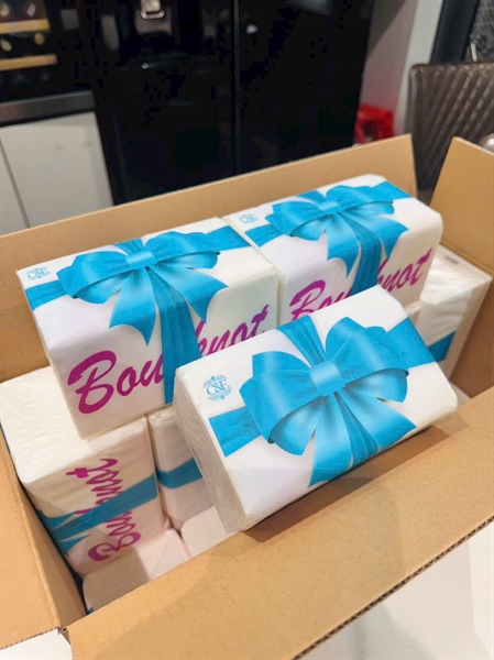 Thùng 20 Gói Khăn Giấy Rút Hình Nơ Xanh C&E - FL460