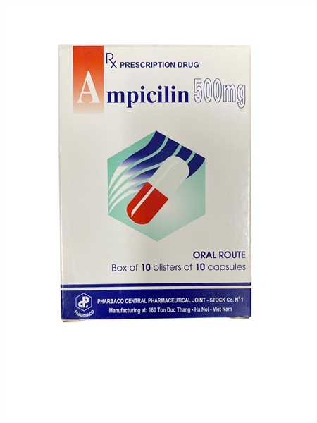 Thuốc Ampixilin 500mg (H*10vỉ*10viên) - TW1