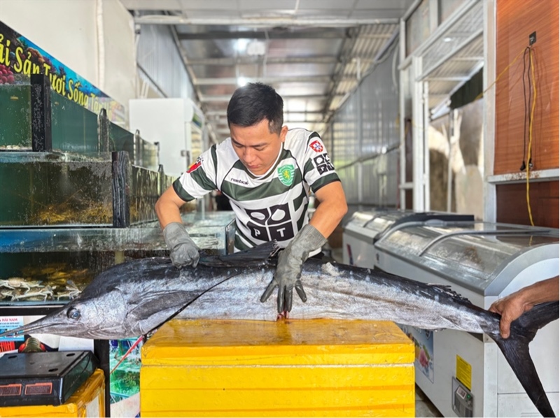 Cá Cờ tươi sống