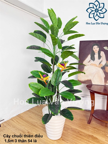 Cây chuối thiên điểu 1,5m 3 thân 54 lá - Cây - Hoa Lụa Vân Vượng