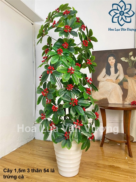 Cây 1,5m 3 thân 54 lá - Cây - Hoa Lụa Vân Vượng