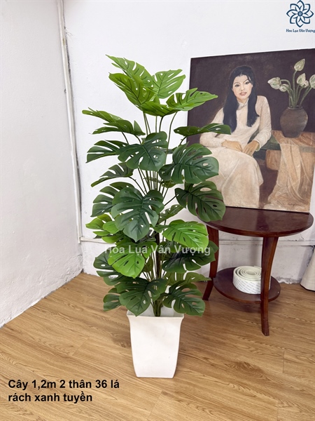 Cây 1,2m 2 thân 36 lá - Cây - Hoa Lụa Vân Vượng