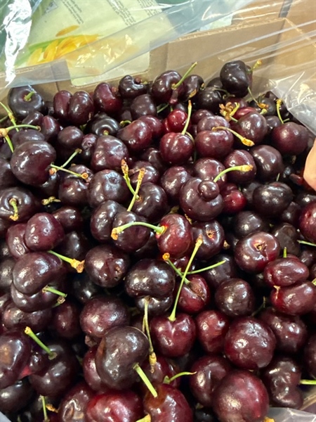 Cherry Washington