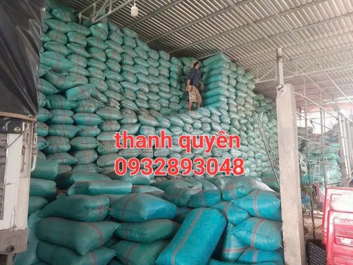 MỤN DUA BAO XANH 65