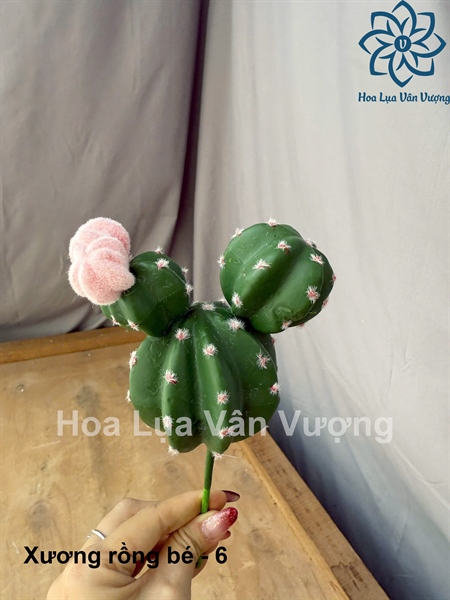 Xương rồng bé - 6 - Hoa đá - Hoa Lụa Vân Vượng