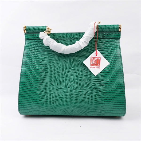 Túi D&G xanh logo đính đá màu sz25 (BQ) KG+
