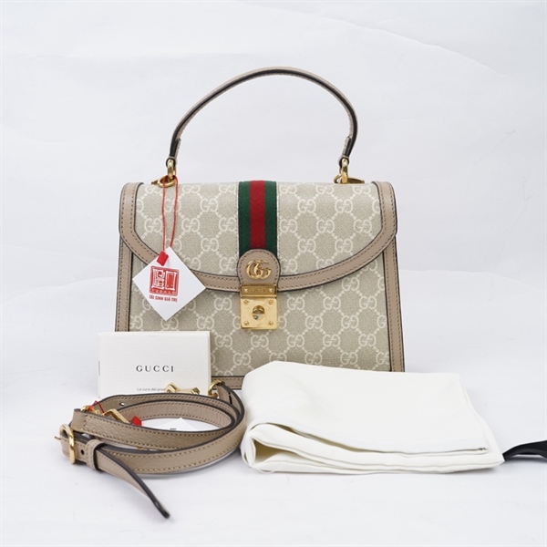 Túi GG Handle Nude (E040870057) sz24 (HT)+